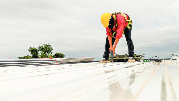 Best Chimney Flashing Repair  in Rural Hill, TN